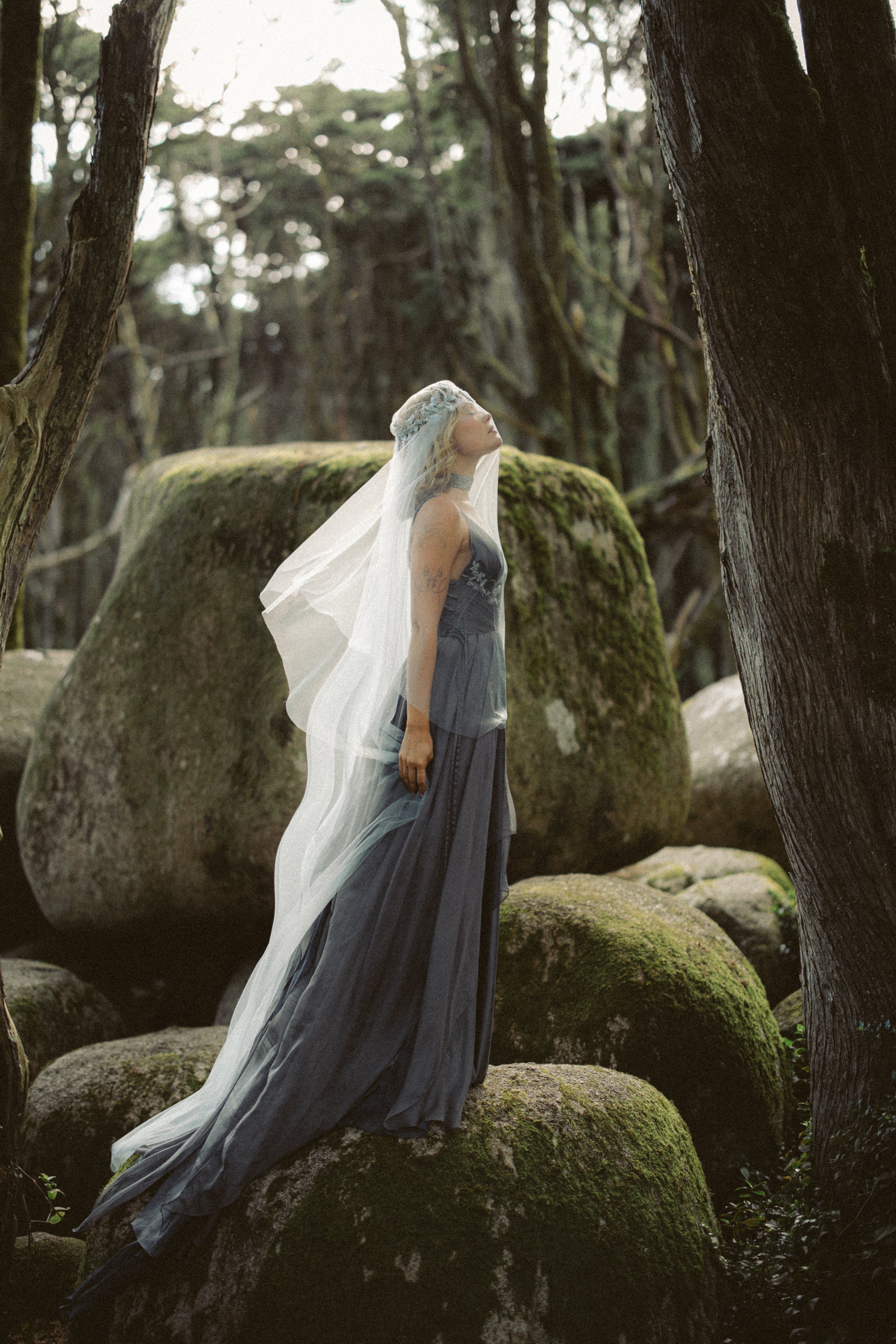 Vea Ethereal Wedding Dress | Chiffon Gown with Train | MYWONY 4 weeks / US 12-16 / shades of dark grey/sleeveless