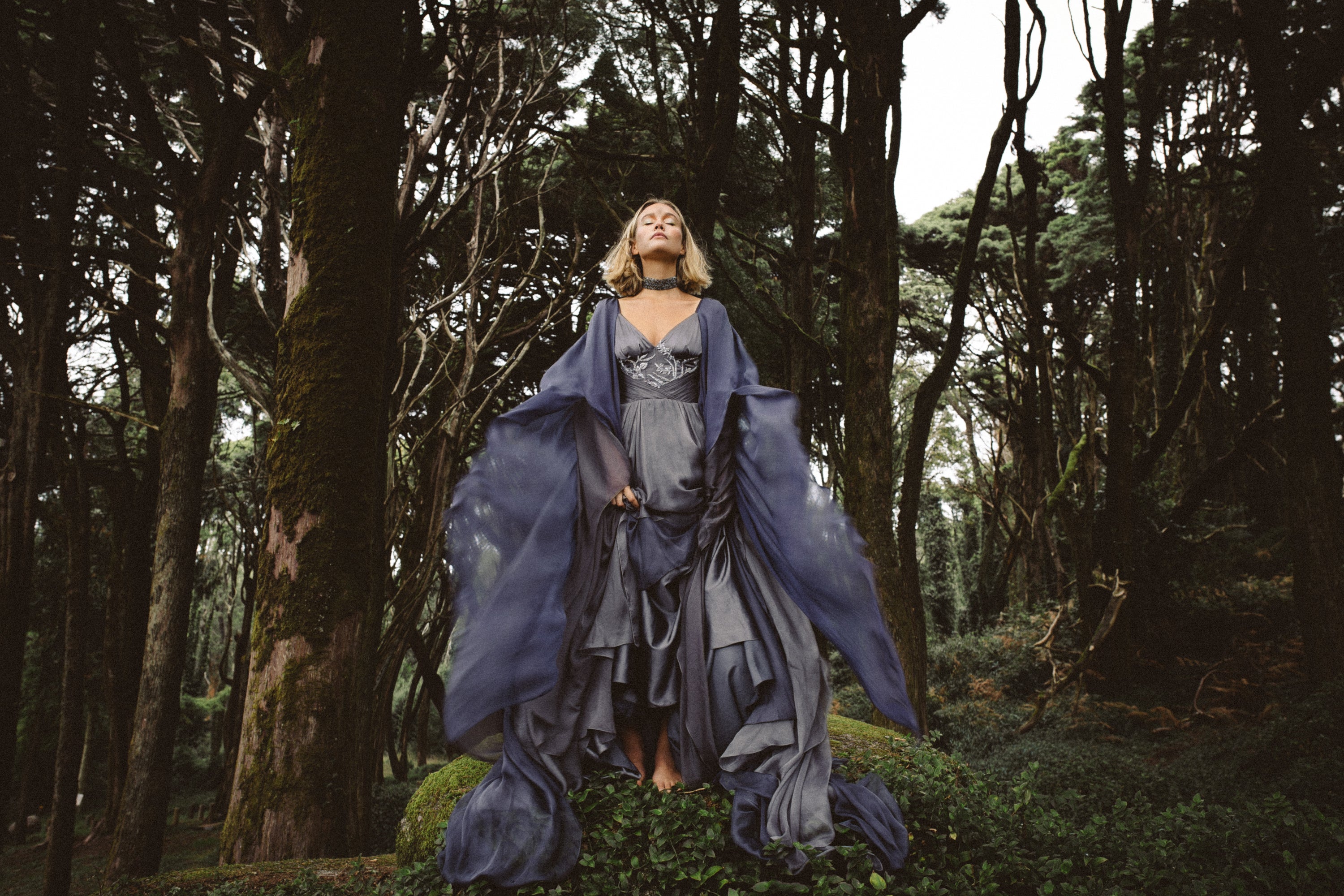 Vea Ethereal Wedding Dress | Chiffon Gown with Train | MYWONY 4 weeks / US 12-16 / shades of dark grey/sleeveless Vea Ethereal Wedding Dress | Chiffon Gown with Train | MYWONY 4 weeks / US 12-16 / shades of dark grey/sleeveless